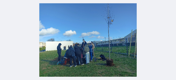 Elèves creusant l'emplacement du tilleul