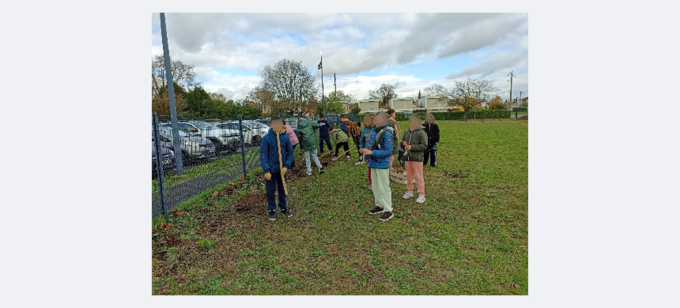 Plantation de 28 arbustes pour prolonger la haie
